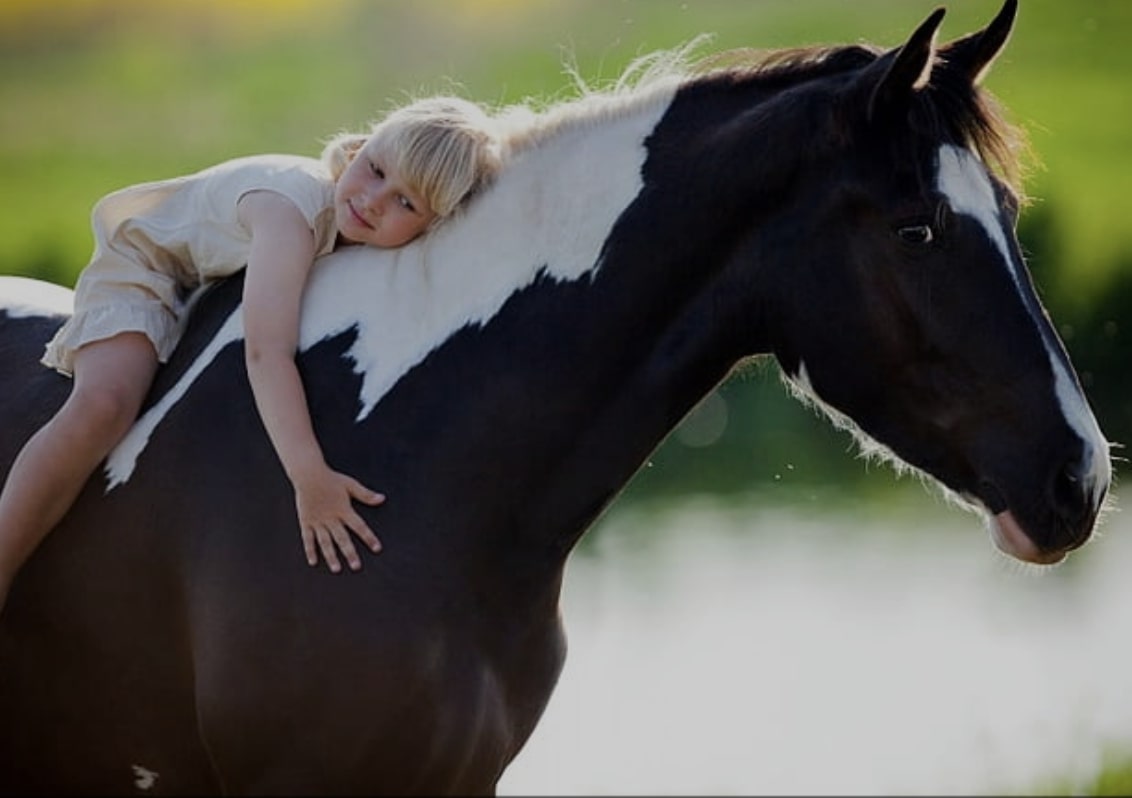 Wild mustang standing in desert landscape with rescue helicopter overhead, symbolizing our investment in equine and human futures